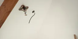 Création de cloisons sèches en BA13, isolation des combles en laine de bois, peinture globales des murs, pose d’un parquet stratifié 